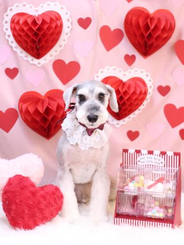 20240203りくくん 